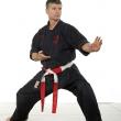 Shihan Coulon Pascal